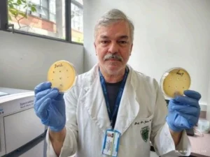 Leia mais sobre o artigo Pesquisa descobre mais de 60 vírus que matam bactérias resistentes a antibióticos