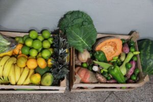 Leia mais sobre o artigo Várzea Grande realiza chamamento público e fomenta agricultura familiar
