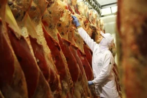Leia mais sobre o artigo Produção animal cresce no 1º trimestre de 2025 e reforça força do agronegócio