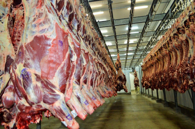 No momento, você está visualizando Mercado de carne de MT cresce com força em 2025, puxado pela China
