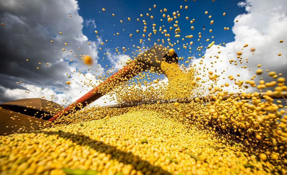 No momento, você está visualizando Brasil quer liderar segurança alimentar global com aumento populacional