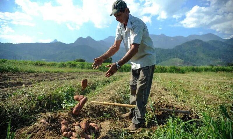No momento, você está visualizando Governo Federal cria o Programa de Projetos Sustentáveis na Agropecuária