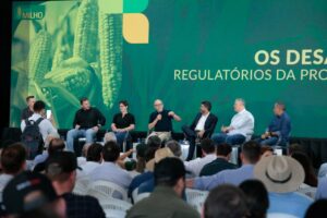 Leia mais sobre o artigo Mato Grosso dá início à colheita da segunda safra nacional de milho