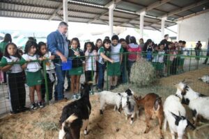 Leia mais sobre o artigo Expoagro 2025 terá atrações especiais para crianças com mini fazenda, brindes e rodeio de carneiros