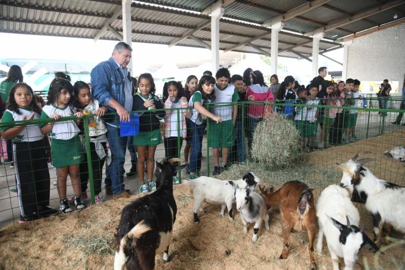 No momento, você está visualizando Expoagro 2025 terá atrações especiais para crianças com mini fazenda, brindes e rodeio de carneiros