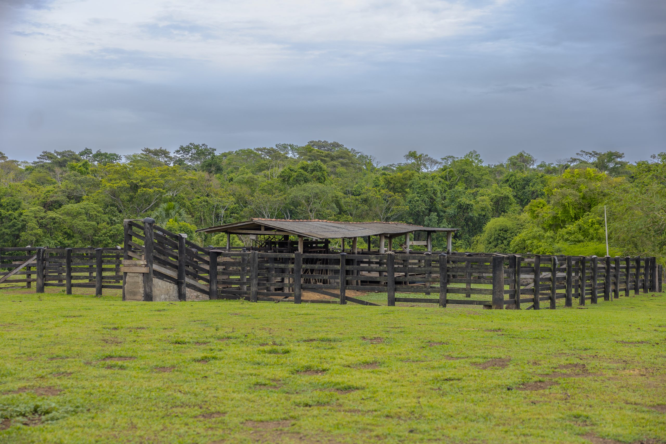 No momento, você está visualizando Famato reforça compromisso com a segurança no campo e celebra sanção da Lei 12.977