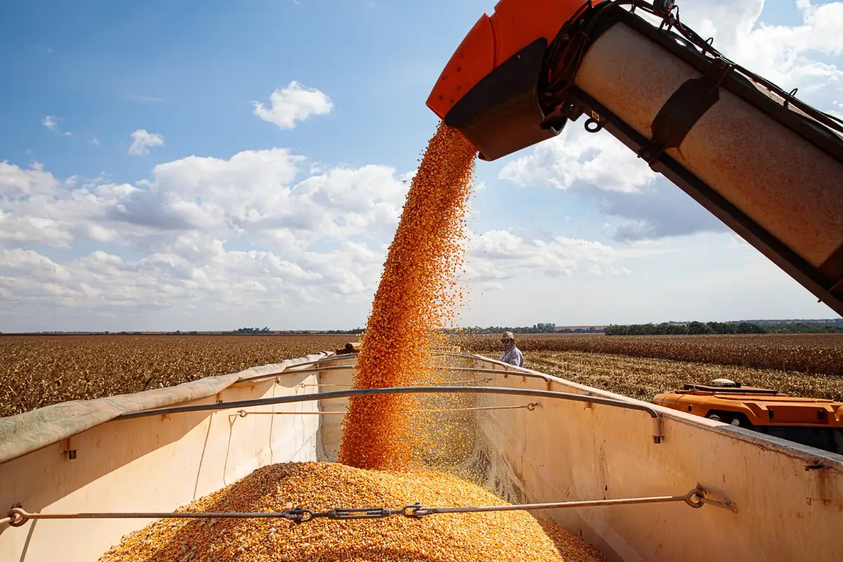 No momento, você está visualizando Mato Grosso consolida liderança nacional com safra recorde de grãos