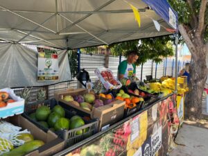 Leia mais sobre o artigo Feiras impulsionam renda e fortalecem agricultura familiar em MT