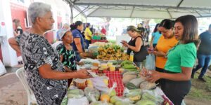 Leia mais sobre o artigo Prefeitura de Várzea Grande realiza dia de Feira da Família