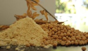 Leia mais sobre o artigo Soja brasileira sofrerá impacto do tarifaço? Entenda