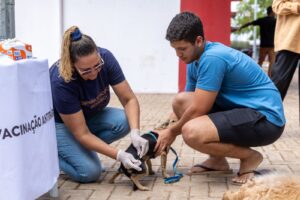 Leia mais sobre o artigo Dia D de Vacinação Antirrábica acontece neste sábado (27) em Rondonópolis