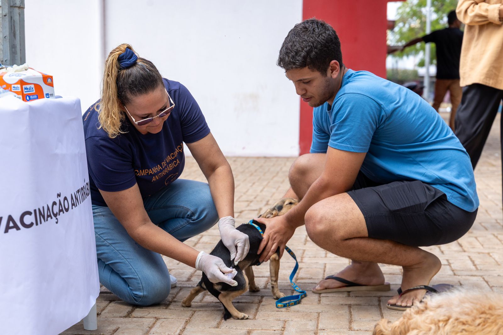 No momento, você está visualizando Dia D de Vacinação Antirrábica acontece neste sábado (27) em Rondonópolis