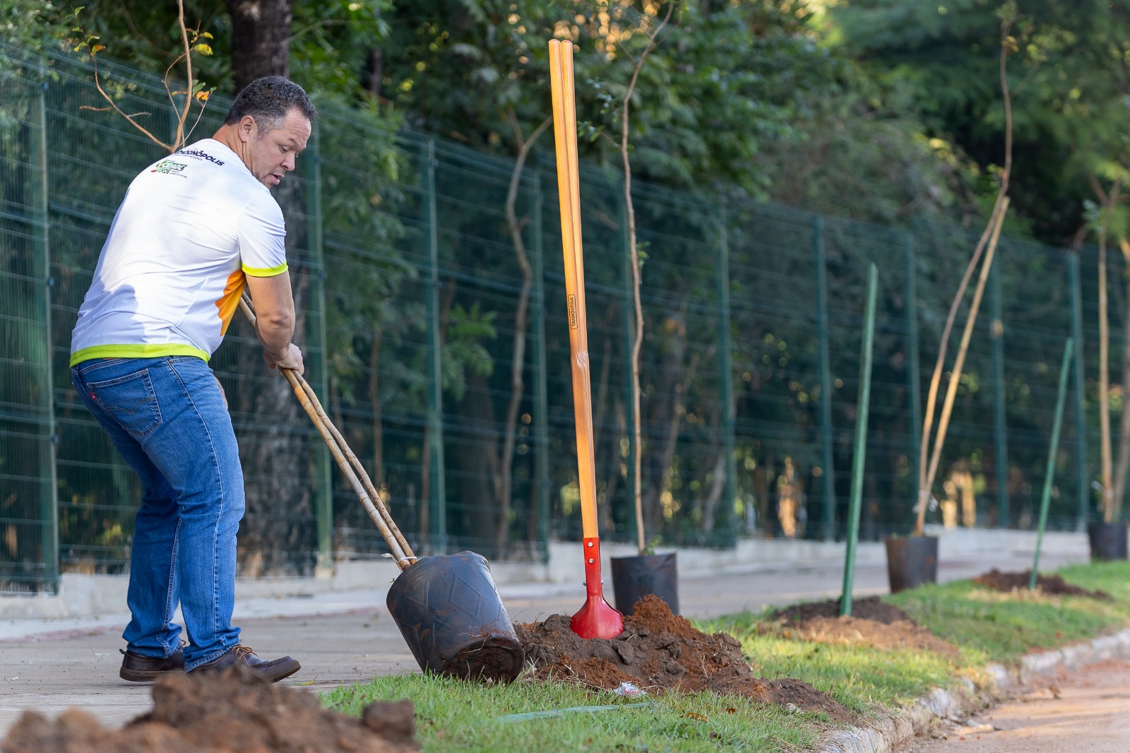 No momento, você está visualizando Rondonópolis marcará Dia da Árvore com mutirão de plantio de mudas