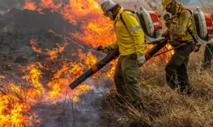 Leia mais sobre o artigo Pré-COP: Brasil propõe resposta global a incêndios florestais