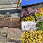 Programa de Aquisição de Alimentos, do Governo, leva comida boa para a COP 30