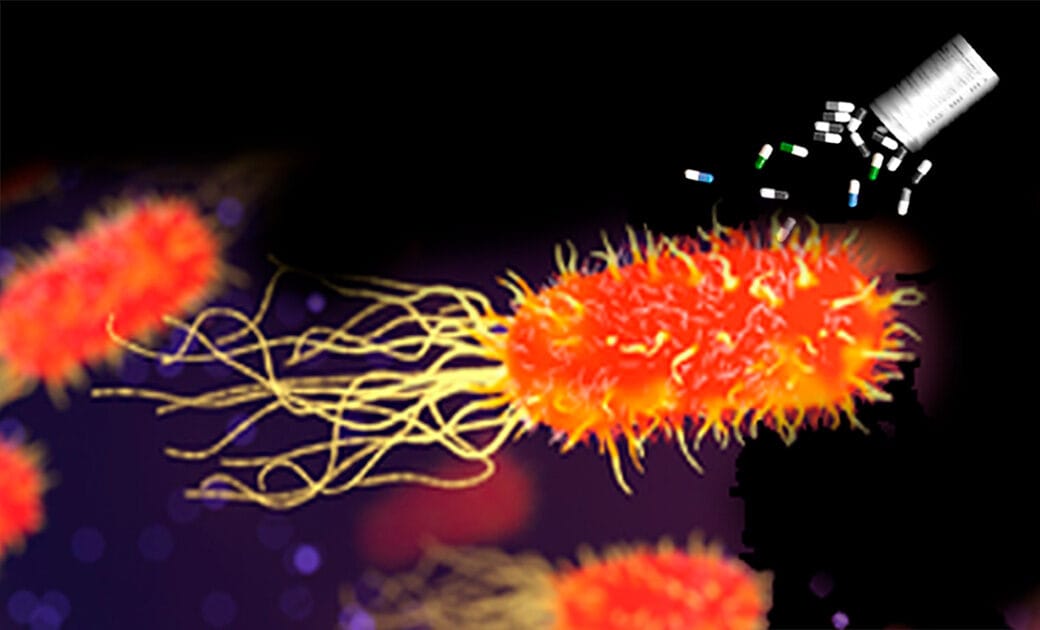 No momento, você está visualizando Descoberta enzima que fortalece antibióticos contra superbactérias