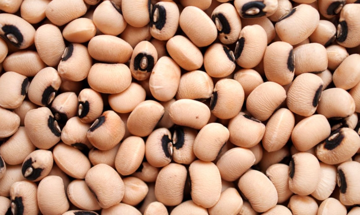 No momento, você está visualizando Abertura de mercado para o Brasil na Índia e na Rússia