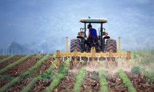Leia mais sobre o artigo 24 mil novas famílias de agricultores são beneficiadas com o microcrédito