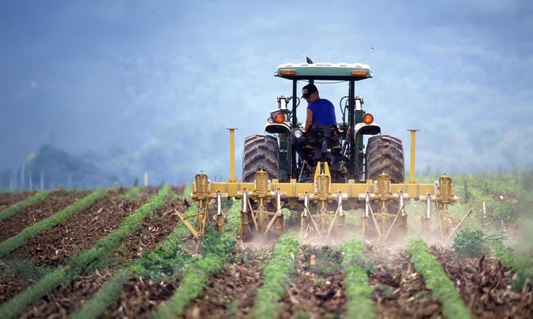 No momento, você está visualizando 24 mil novas famílias de agricultores são beneficiadas com o microcrédito