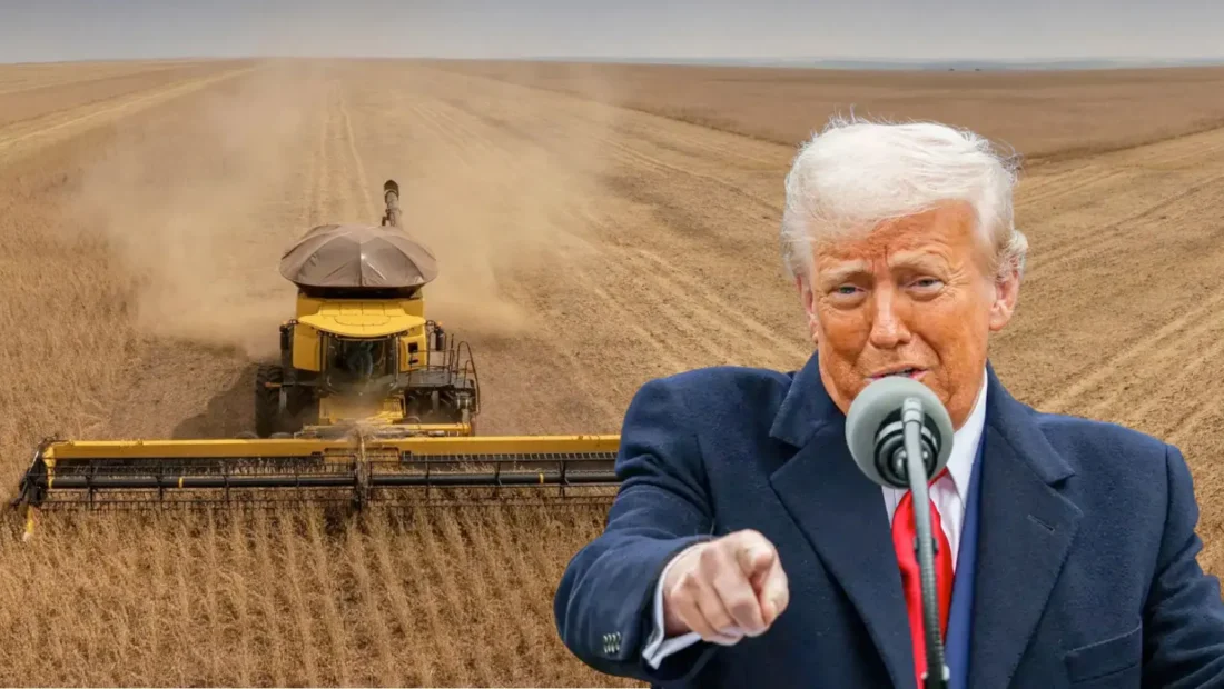 No momento, você está visualizando Trump anuncia pacote de US$ 11 bilhões para ajudar agricultores afetados pelo tarifaço