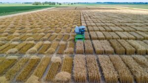 Leia mais sobre o artigo Unemat vai da sala de aula ao “Cinturão do Milho” nos Estados Unidos