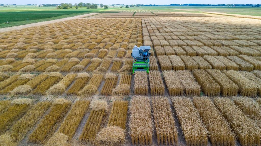 No momento, você está visualizando Unemat vai da sala de aula ao “Cinturão do Milho” nos Estados Unidos