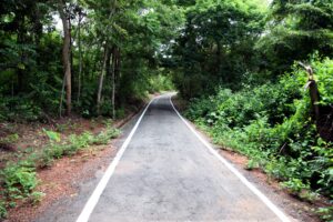 Leia mais sobre o artigo Várzea Grande avança etapa para tornar a área do Bernardo Berneck em Parque Natural Municipal
