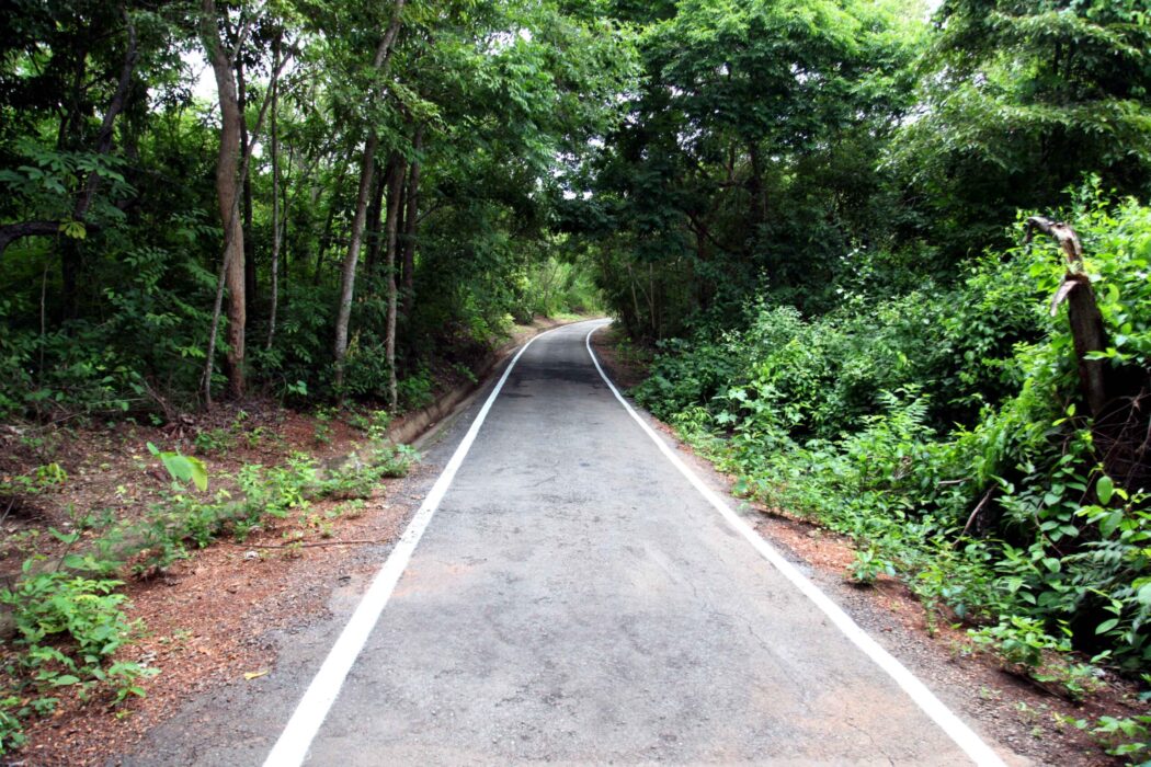 No momento, você está visualizando Várzea Grande avança etapa para tornar a área do Bernardo Berneck em Parque Natural Municipal