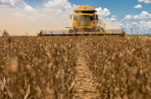 Leia mais sobre o artigo Aprosoja MT avalia decreto que regulamenta a lei da Moratória da Soja