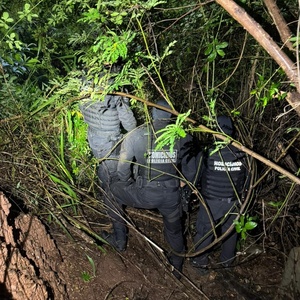 No momento, você está visualizando Corpo de corretora desaparecida em GO é achado; síndico e filho são presos
