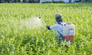 Leia mais sobre o artigo Importação de defensivos agrícolas bate US$ 14,3 bilhões em 2025