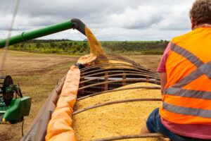 Leia mais sobre o artigo Mato Grosso fecha 2025 como o 4º maior exportador brasileiro