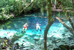 Leia mais sobre o artigo Regiões de Mato Grosso estão entre os principais destinos naturais do Brasil