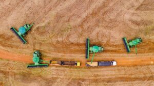 Leia mais sobre o artigo Sefaz define regras e limite para incentivo fiscal à soja a granel em 2026