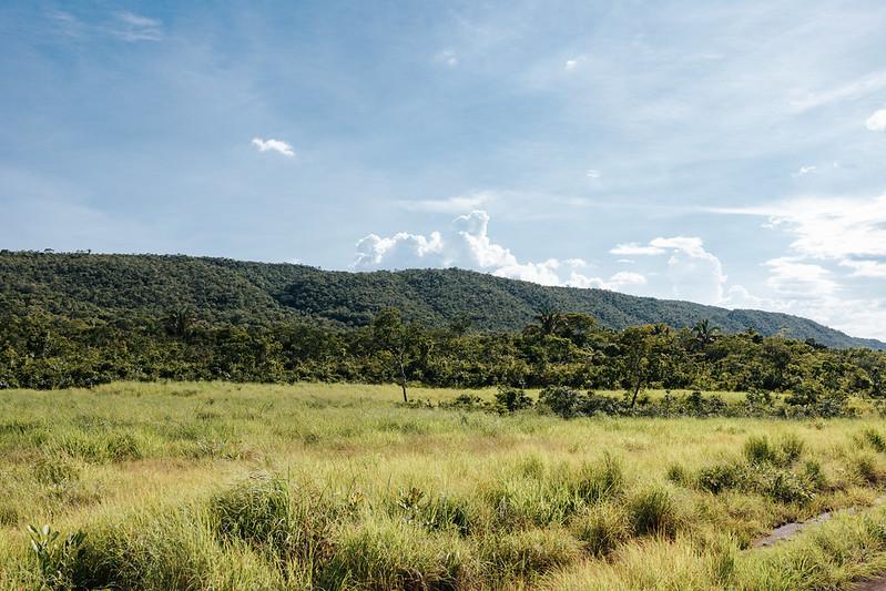 No momento, você está visualizando Sema-MT aprova mais de mil projetos para recuperação de 50 mil hectares