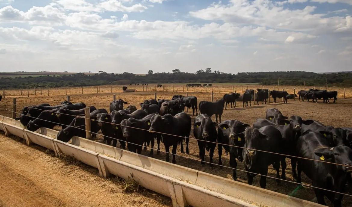 No momento, você está visualizando Atividade econômica brasileira cresce 2,5% em 2025