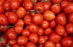 Leia mais sobre o artigo Produção de tomate bate recorde, mas clima desafia produção em 2026