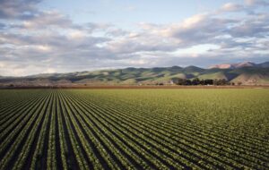 Leia mais sobre o artigo Com desempenho do agro, economia brasileira cresce 2,3% em 2025, diz IBGE