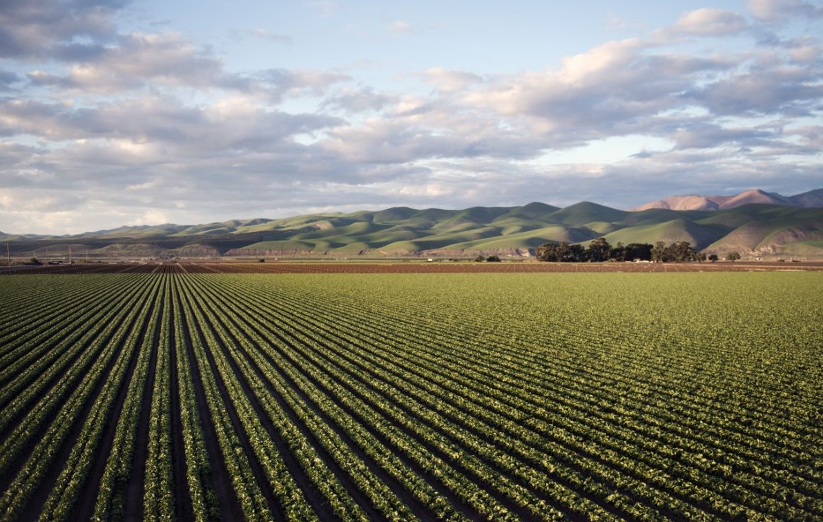 No momento, você está visualizando Com desempenho do agro, economia brasileira cresce 2,3% em 2025, diz IBGE