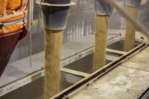 Leia mais sobre o artigo Rondonópolis lidera exportações em Mato Grosso no primeiro bimestre de 2026