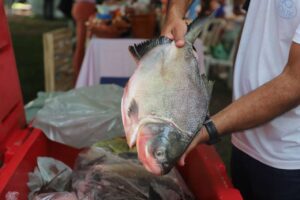 Leia mais sobre o artigo “VG Santo Peixe” leva 20 toneladas de pescado mais barato a seis pontos da cidade
