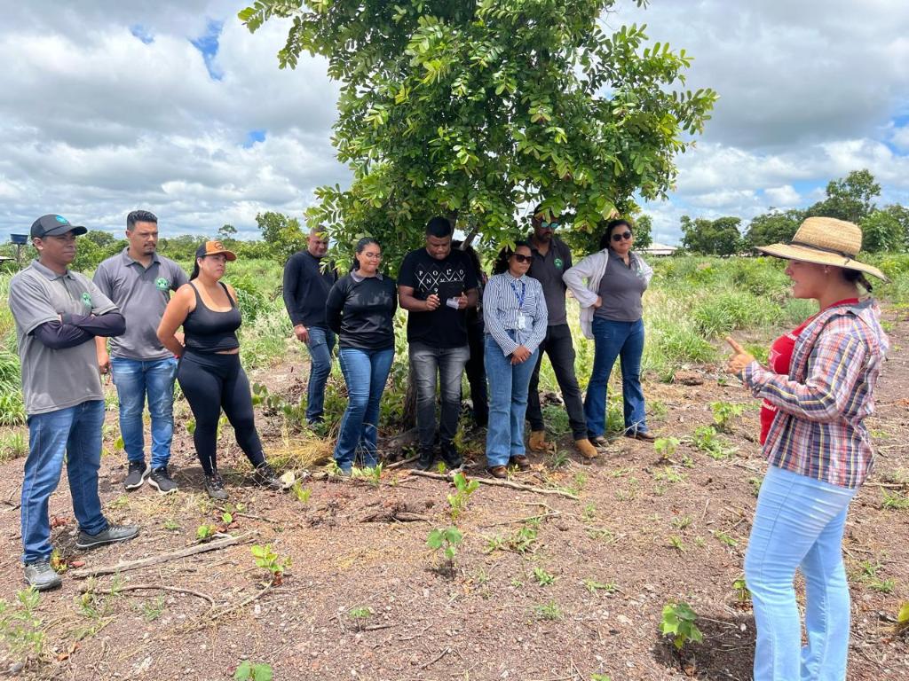 No momento, você está visualizando Cursos técnicos em agronegócio ampliam oportunidades de qualificação em Mato Grosso