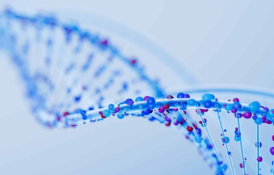 No momento, você está visualizando Cientistas mostram que enzimas podem “escrever” DNA do zero