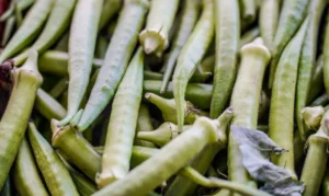 Leia mais sobre o artigo Garantia-Safra; veja lista dos que receberão pagamento em abril