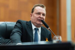 Leia mais sobre o artigo Um Mato Grosso além do Agronegócio, diz Max Russi