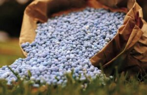Leia mais sobre o artigo Preço dos fertilizantes dispara e preocupa agricultores brasileiros
