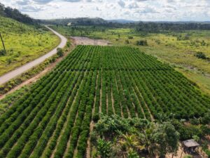 Leia mais sobre o artigo Seaf inicia mobilização do MT Produtivo em 61 municípios de Mato Grosso