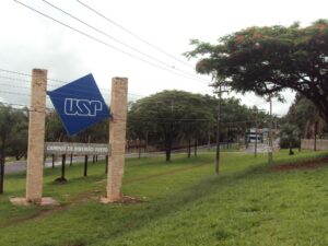 Leia mais sobre o artigo USP oferece curso gratuito e online de marketing estratégico