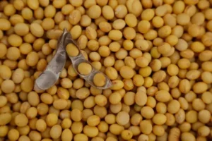 Leia mais sobre o artigo Agro brasileiro bate recorde e exporta US$ 16,6 bi em abril