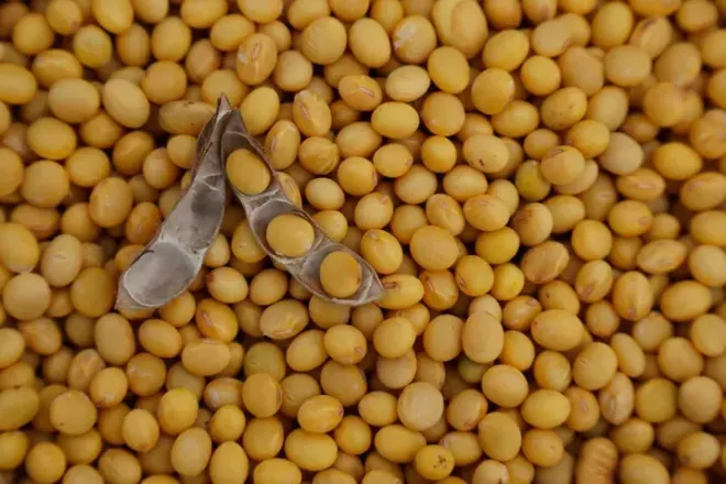No momento, você está visualizando Agro brasileiro bate recorde e exporta US$ 16,6 bi em abril